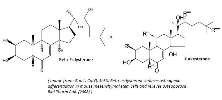 Ecdysteroids - Scientific Review on Usage, Dosage, Side Effects